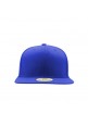 SNPBCK (Blue)