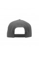 SNPBCK (Gray)