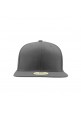 SNPBCK (Gray)