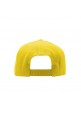 SNPBCK (Yellow)